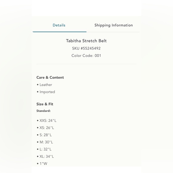 Anthropologie Tabitha stretch belt - Picture 5 of 12